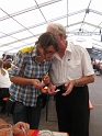 bild (66)